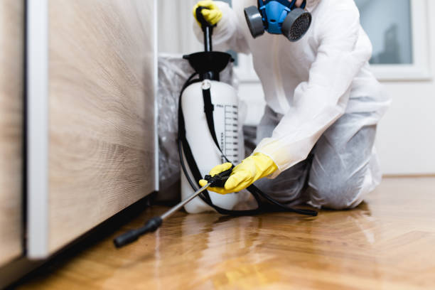 Wasp Removal Services in Coal Valley, IL