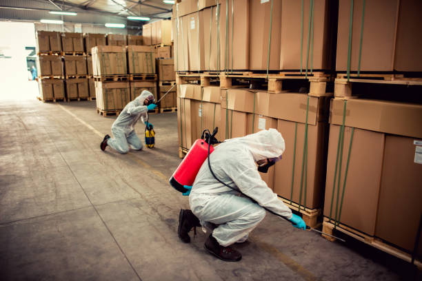 Best Pest Control for Homes  in Coal Valley, IL