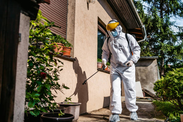 Best Affordable Pest Control Services  in Coal Valley, IL