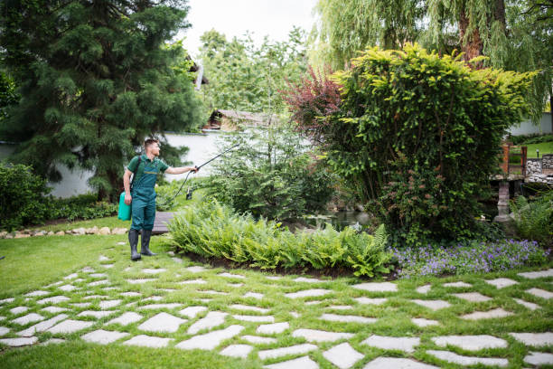 Best Mosquito Control Services  in Coal Valley, IL