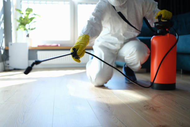 Best Emergency Pest Control  in Coal Valley, IL