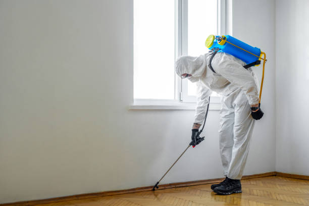 Professional Pest Control in Coal Valley, IL