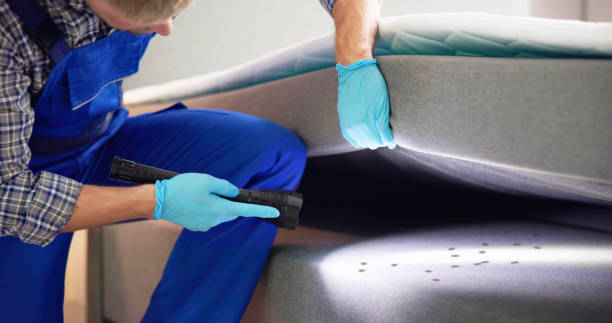 Best Pest Prevention Services  in Coal Valley, IL
