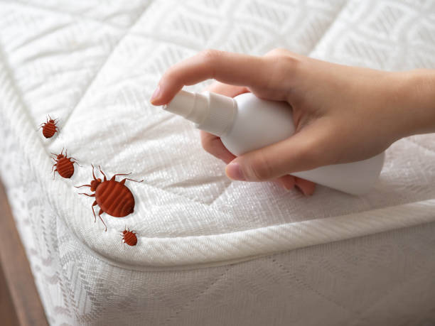 Best Pest Removal Services  in Coal Valley, IL